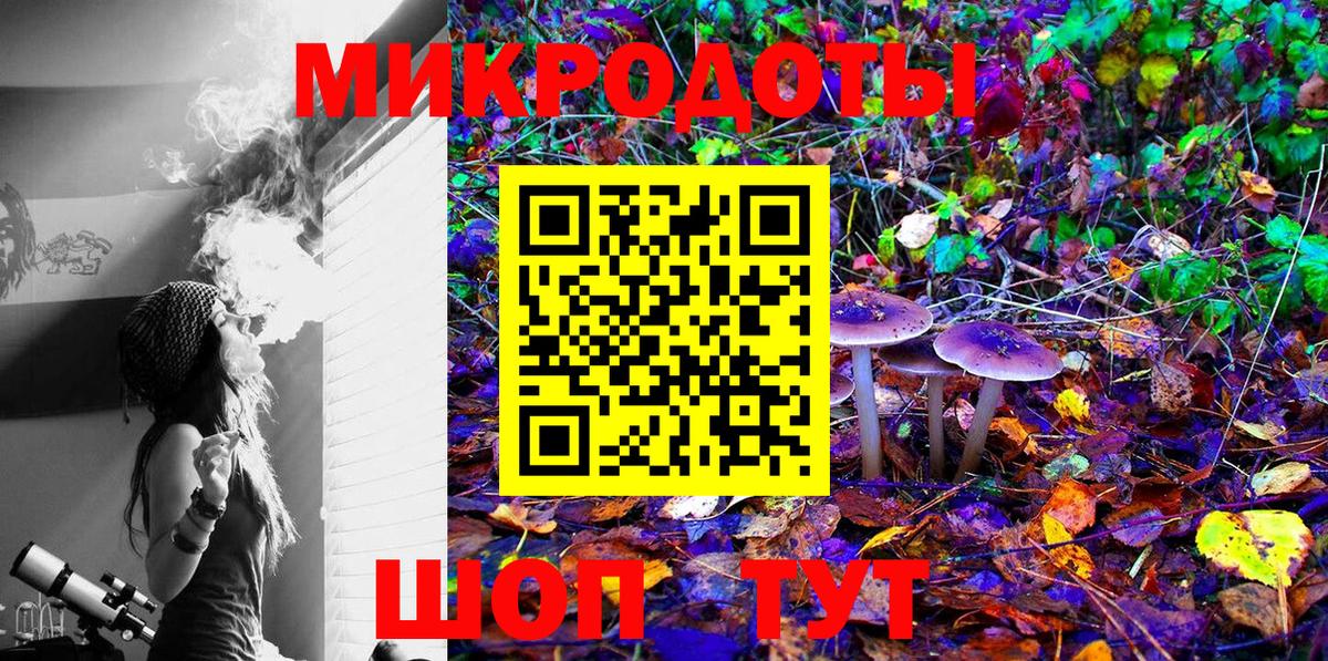 Псилоцибиновые грибы мицелий Строитель