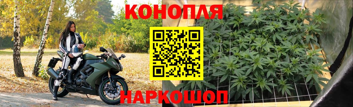 Бошки марихуана Bruce Banner Строитель